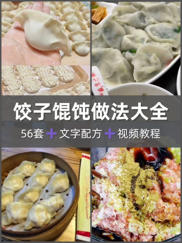 56套商用馄饨技术配方视频教程学私房馄饨水饺馅料制作摆摊-淘配方