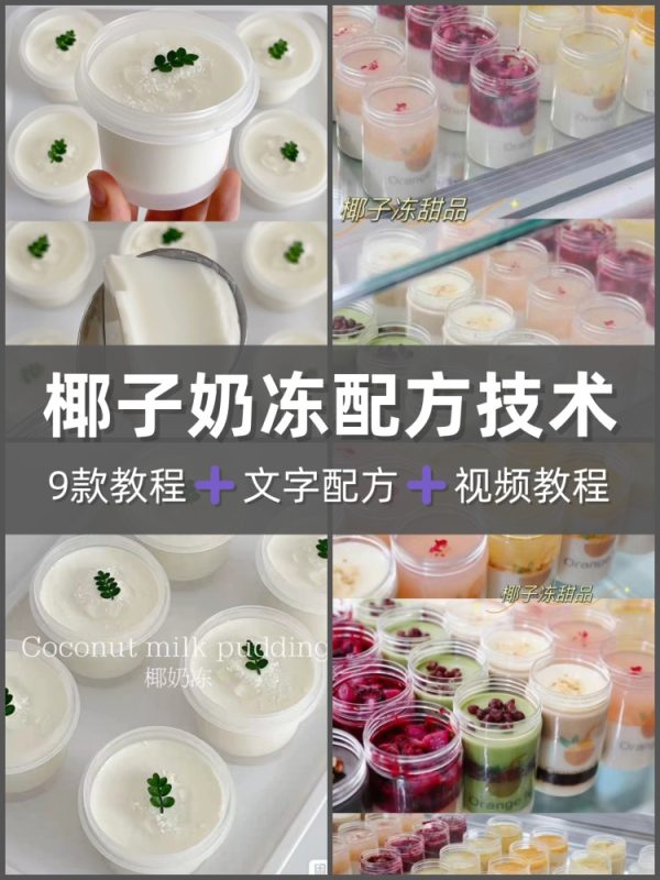 9款椰子奶冻课程颜值天花板技术配方教程摆摊创业商业配方-淘配方