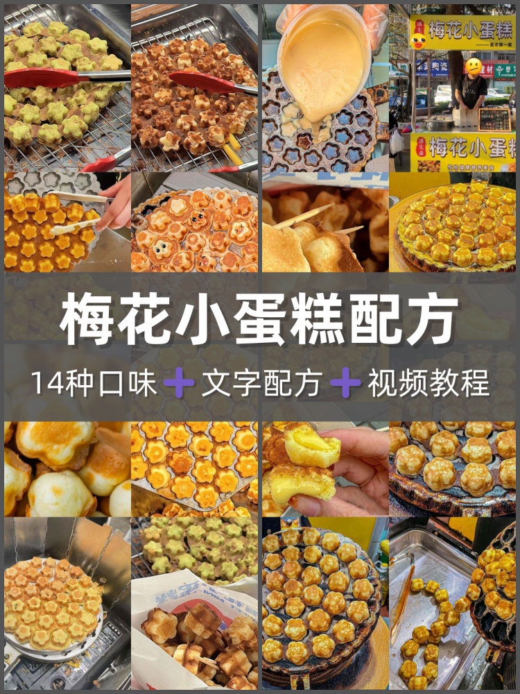 梅花小蛋糕技术配方14种口味面糊制作食材处理12种口味制作商用-淘配方