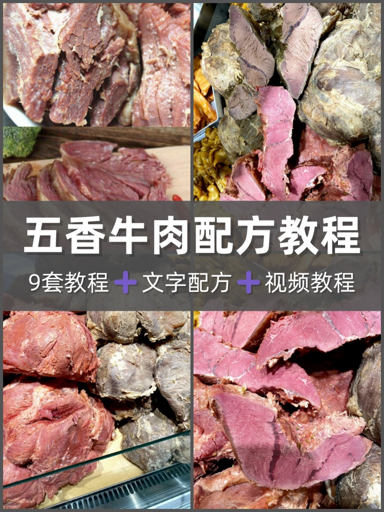 五香牛肉技术配方卤菜卤牛肉做法培训视频宫廷五香牛肉教学全套-淘配方